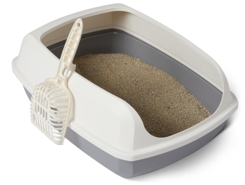 Wysoka Kuweta dla Kota z Łopatką – Amazon Basics – 51x38x20 cm