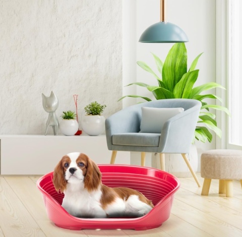 Legowisko Plastikowe Ferplast Siesta Deluxe 6 | Białe | 70,5 cm