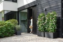 Donica Elho Vivo Next Square 40 | Living Black | 39x39 cm