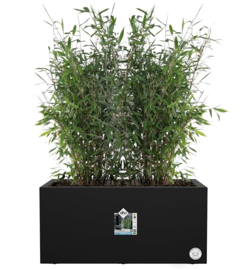 Donica Prostokątna Elho Vivo Next Long 60 | Living Black | 59x29 cm