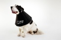 Kołnierz Ochronny Miękki The Comfy Cone – Rozmiar Giant – All Four Paws