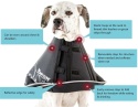 Kołnierz Ochronny Miękki The Comfy Cone – Rozmiar Giant – All Four Paws