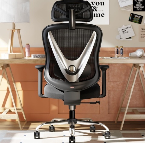 Ergonomiczne Krzesło Biurowe HOLLUDLE – Podparcie Lędźwiowe 3D | Podłokietniki 3D | Design V-Shape