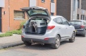 Transporter dla Psa Karlie XL – 90x60x68 cm | Bezpieczeństwo IATA | Do Samolotu i Auta