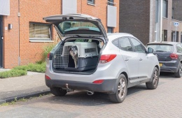 Transporter dla Psa Karlie XL – 90x60x68 cm | Bezpieczeństwo IATA | Do Samolotu i Auta