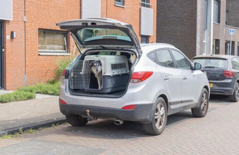 Transporter dla Psa Karlie XL – 90x60x68 cm | Bezpieczeństwo IATA | Do Samolotu i Auta