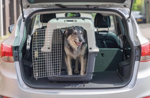 Transporter dla Psa Karlie XL – 90x60x68 cm | Bezpieczeństwo IATA | Do Samolotu i Auta