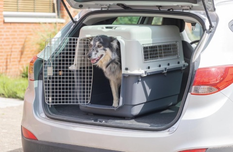 Transporter dla Psa Karlie XL – 90x60x68 cm | Bezpieczeństwo IATA | Do Samolotu i Auta