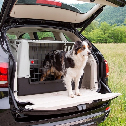 Transporter Samochodowy Ferplast Atlas Car 100 – 100x60x66 cm | Rozmiar L | Mata Drenażowa