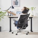 Ergonomiczne Krzesło Biurowe HOLLUDLE – Adaptacyjne Oparcie | Podłokietniki 4D | Regulacja Głębokości Siedziska | Siatka Mesh