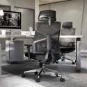 Ergonomiczne Krzesło Biurowe HOLLUDLE – Adaptacyjne Oparcie | Podłokietniki 4D | Regulacja Głębokości Siedziska | Siatka Mesh
