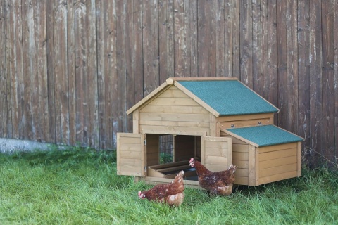 Gniazdo Niesnośne Kerbl Hobbyfarming – Dobudówka do Kurnika | 85x37x48 cm | Drewniane | Legenest