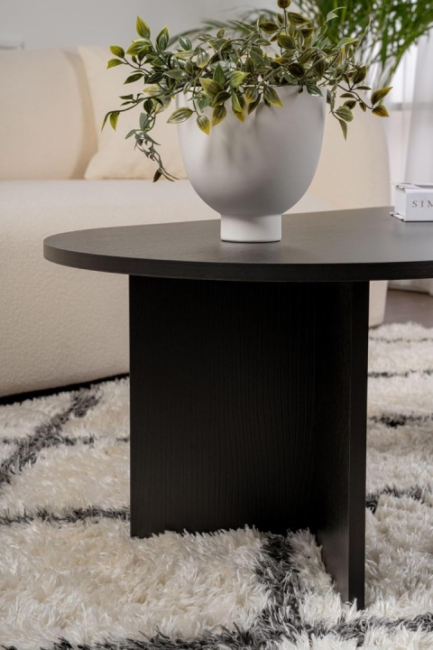 Hanah Home – Stylowy Stolik Kawowy do Salonu – Wykończenie Wood Black (Czarny Drewnopodobny) – Płyta 18 mm – 119 x 60 x 39,8 cm