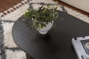 Hanah Home – Stylowy Stolik Kawowy do Salonu – Wykończenie Wood Black (Czarny Drewnopodobny) – Płyta 18 mm – 119 x 60 x 39,8 cm