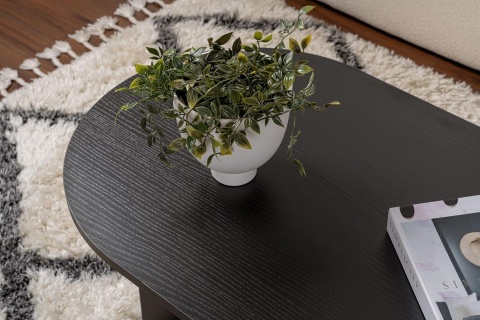 Hanah Home – Stylowy Stolik Kawowy do Salonu – Wykończenie Wood Black (Czarny Drewnopodobny) – Płyta 18 mm – 119 x 60 x 39,8 cm