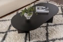 Hanah Home – Stylowy Stolik Kawowy do Salonu – Wykończenie Wood Black (Czarny Drewnopodobny) – Płyta 18 mm – 119 x 60 x 39,8 cm