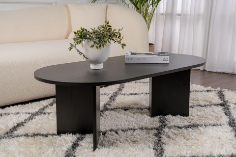 Hanah Home – Stylowy Stolik Kawowy do Salonu – Wykończenie Wood Black (Czarny Drewnopodobny) – Płyta 18 mm – 119 x 60 x 39,8 cm