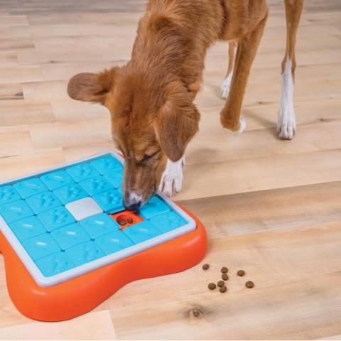 Outward Hound™ Nina Ottosson Challenge Slider – Interaktywna Zabawka Edukacyjna dla Psów