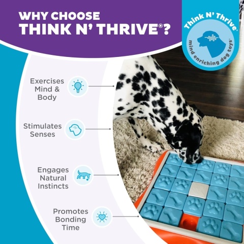 Outward Hound™ Nina Ottosson Challenge Slider – Interaktywna Zabawka Edukacyjna dla Psów