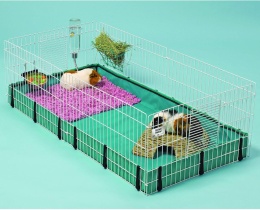 MidWest Homes for Pets® – Profesjonalna Klatka Modułowa dla Świnek Morskich – 119 x 61 x 36 cm – Powierzchnia 0,7 m²