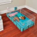 MidWest Homes for Pets® – Profesjonalna Klatka Modułowa dla Świnek Morskich – 119 x 61 x 36 cm – Powierzchnia 0,7 m²