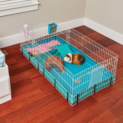 MidWest Homes for Pets® – Profesjonalna Klatka Modułowa dla Świnek Morskich – 119 x 61 x 36 cm – Powierzchnia 0,7 m²