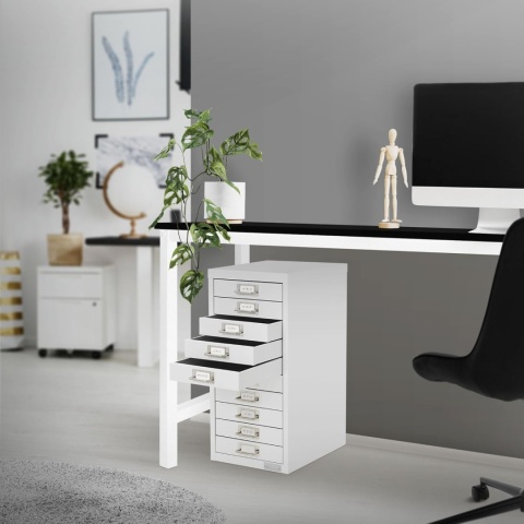 ML-Design® – Stalowa Szafka Biurowa z 10 Szufladami (28 x 38 x 60 cm) – Ramki na Etykiety – Mieści Format DIN A4