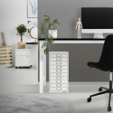 ML-Design® – Stalowa Szafka Biurowa z 10 Szufladami (28 x 38 x 60 cm) – Ramki na Etykiety – Mieści Format DIN A4