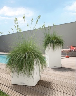 Lechuza® Canto Stone 40 High – Kolumnowa Donica z Opatentowanym Systemem Samonawadniania (40 x 40 x 76 cm)