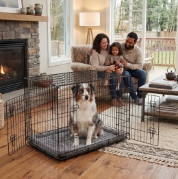 Smart Kennel Pro XL – Składana Metalowa Klatka Kennelowa / Transporter dla Psa i Kota