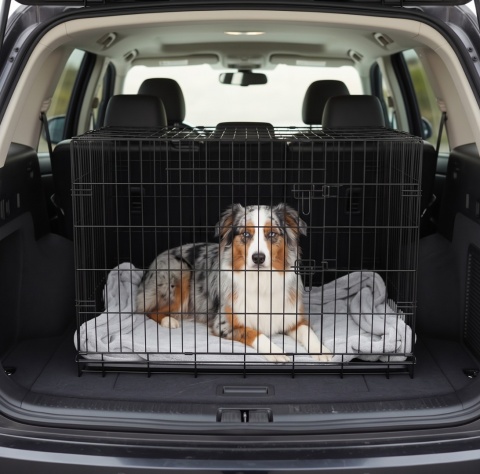 Smart Kennel Pro XL – Składana Metalowa Klatka Kennelowa / Transporter dla Psa i Kota