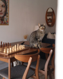 Stół Do Jadalni Beliani MADOX Ciemny Orzech 150x90 cm