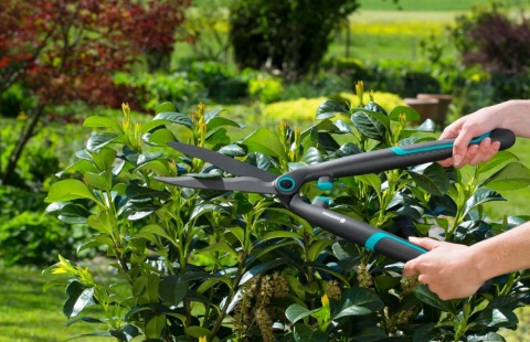 Gardena EasyCut Nożyce do Żywopłotu – Lekkie, Ergonomiczne z Ostrzami 20 cm i Obcinaczem do Gałęzi (Model 12301-20) Gardena EasyCut Nożyce do Żywopłotu – Lekkie, Ergonomiczne z Ostrzami 20 cm i Obcinaczem do Gałęzi (Model 12301-20)