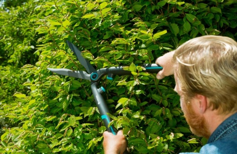 Gardena EasyCut Nożyce do Żywopłotu – Lekkie, Ergonomiczne z Ostrzami 20 cm i Obcinaczem do Gałęzi (Model 12301-20) Gardena EasyCut Nożyce do Żywopłotu – Lekkie, Ergonomiczne z Ostrzami 20 cm i Obcinaczem do Gałęzi (Model 12301-20)