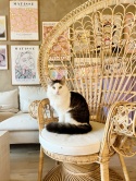 Fotel paw EMMANUELLE rattanowy naturalny | Beliani