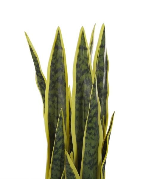 Beliani – Sztuczna roślina SNAKE PLANT 63 cm Zielony