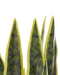 Beliani – Sztuczna roślina SNAKE PLANT 63 cm Zielony