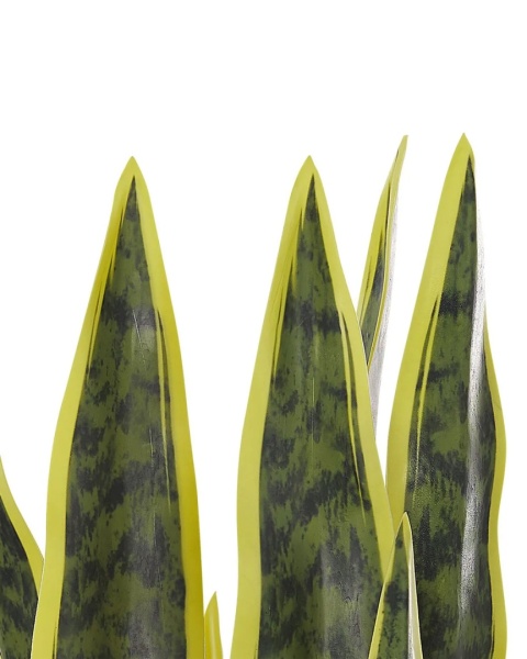 Beliani – Sztuczna roślina SNAKE PLANT 63 cm Zielony