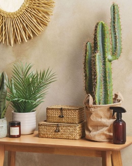 Beliani Sztuczna roślina doniczkowa CACTUS – kaktus 78 cm w doniczce