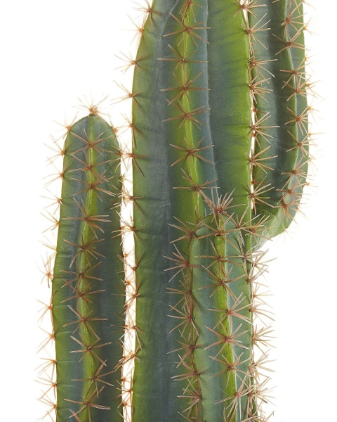 Beliani Sztuczna roślina doniczkowa CACTUS – kaktus 78 cm w doniczce Beliani Sztuczna roślina doniczkowa CACTUS – kaktus 78 cm w doniczce