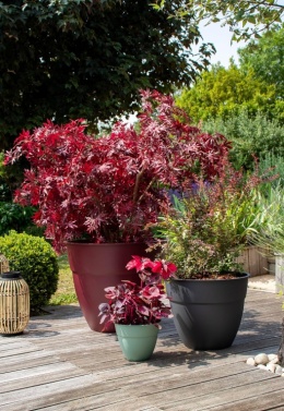 Donica Ogrodowa XXL EDA Osaka Ø 74 cm – 165L, Antracyt, System Nawadniania