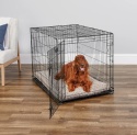 Klatka Kennelowa MIDWEST iCrate 106 cm – Z Panelem Dzielącym, Dla Dużych Psów (32-41 kg)