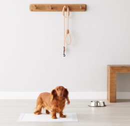 Podkłady Higieniczne dla Psa Amazon Basics 56x56 cm – Zestaw 150 sztuk