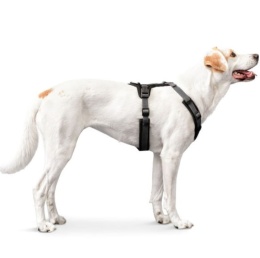 Szelki dla Psa HUNTER Maldon S-M – Oliwkowe, Komfortowe typu Guard