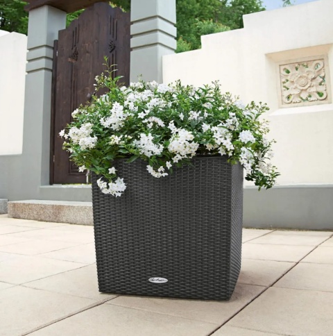 Donica Samonawadniająca LECHUZA CUBE Cottage 50 – Grafit Czarny, Efekt Technorattanu