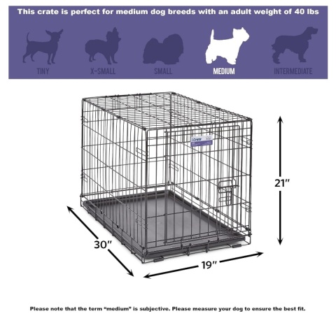 Klatka Kennelowa MidWest iCrate 76 cm – Drzwi Pojedyncze, Z Panelem Działowym, Ulepszone Bezpieczeństwo