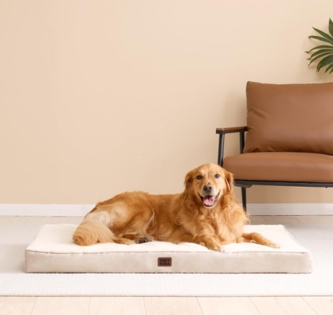 Dwustronny Materac Ortopedyczny EHEYCIGA – 89x58 cm, Kolor Karmelowy