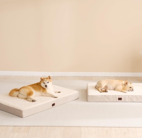 Dwustronny Materac Ortopedyczny EHEYCIGA – 89x58 cm, Kolor Karmelowy