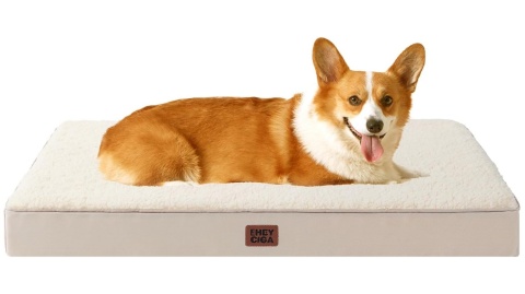 Dwustronny Materac Ortopedyczny EHEYCIGA – 89x58 cm, Kolor Karmelowy