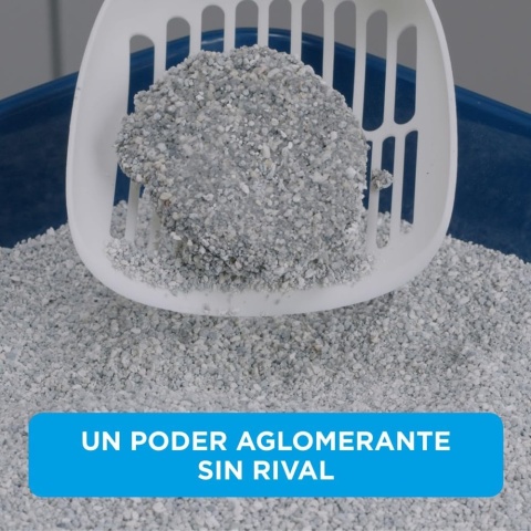 Ever Clean Multi-Cat Żwirek Zbrylający dla Kota 10 L – Długotrwała Świeżość, Węgiel Aktywny
